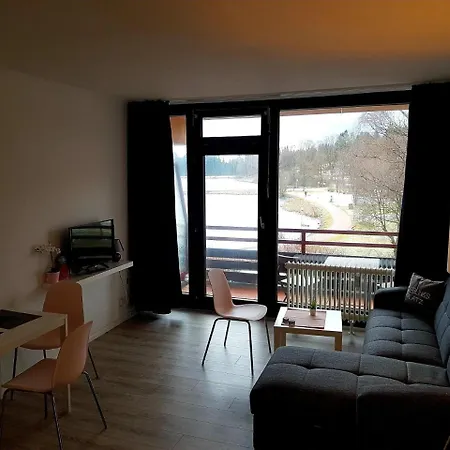 Haus Am See Vier Jahreszeiten - Hs 215 Apartment Goslar